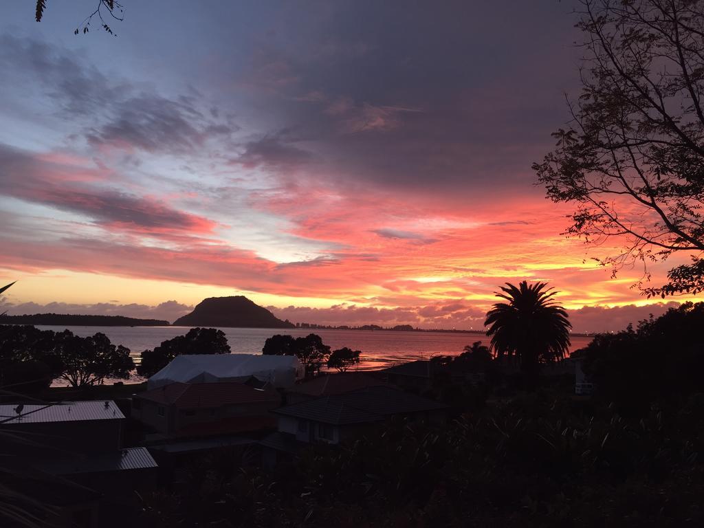 Matua Lodge ตาอูรังกา ห้อง รูปภาพ